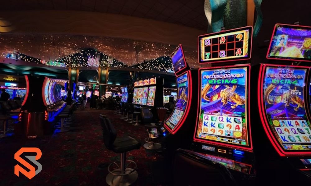 vanessa-casino.com enter the realm: New Era of Digital Entertainment vanessa-casino.com enter the realm