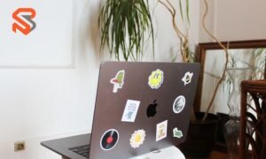 business growth hacker phoenix az pricing packages for 2025